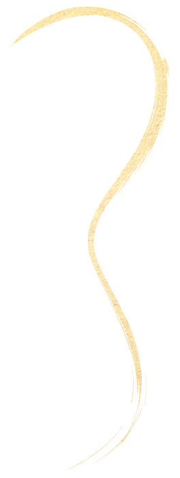 VAS-Symbole-AileSeule-D