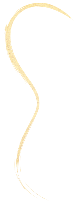 VAS-Symbole-AileSeule-G